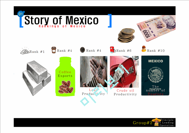 Mexico analysis   (4 )